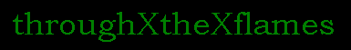 throughtheflameslogo.gif